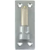 Gond Sur Plaque Torbel Inox 316L Et Laiton Gond 14 Mm Longueur 100 Mm 11