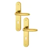 Poignée De Porte Clé En L Verona Hoppe En Laiton Poli 2811042 10